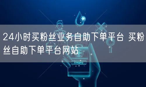 24小时买粉丝业务自助下单平台 买粉丝自助下单平台网站