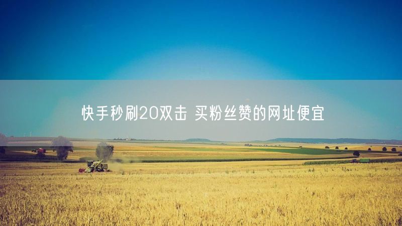 快手秒刷20双击 买粉丝赞的网址便宜