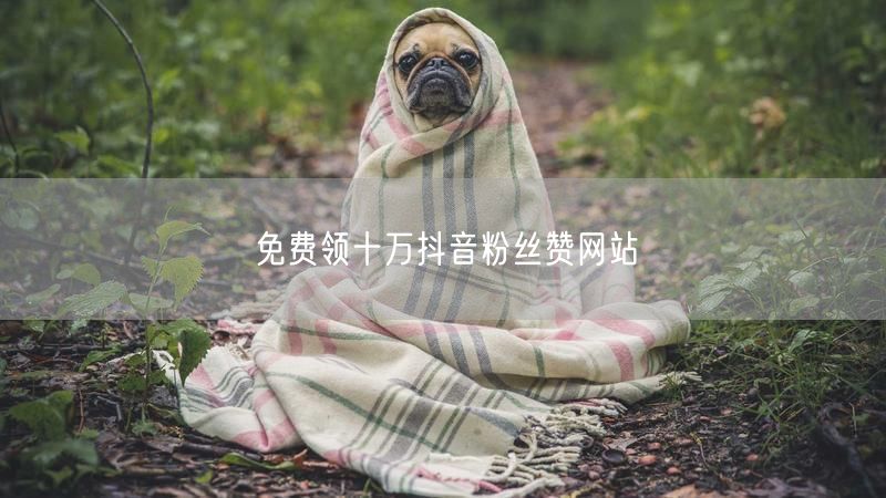 免费领十万抖音粉丝赞网站