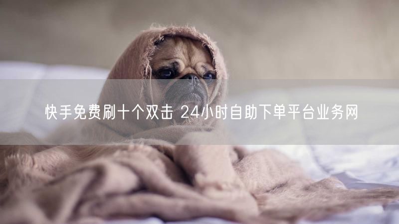 快手免费刷十个双击 24小时自助下单平台业务网