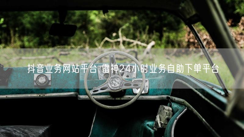 抖音业务网站平台 雷神24小时业务自助下单平台