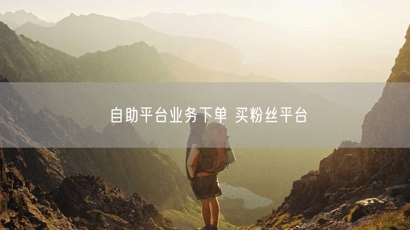 自助平台业务下单 买粉丝平台