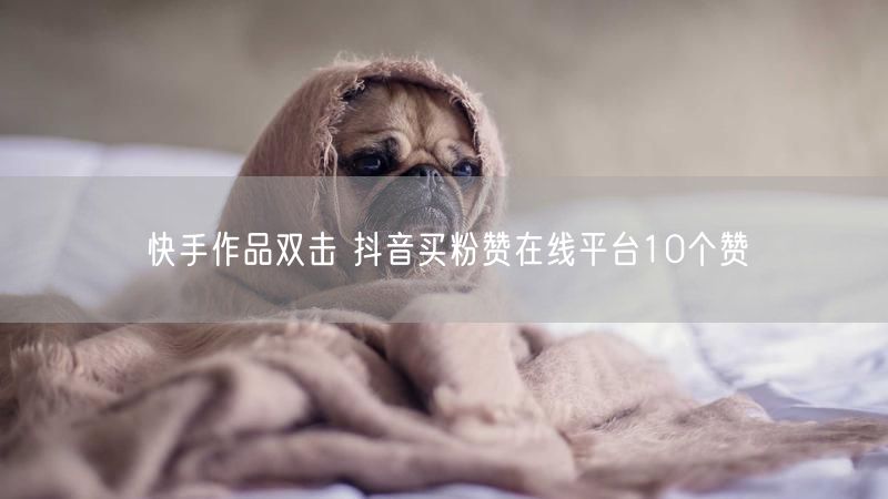 快手作品双击 抖音买粉赞在线平台10个赞