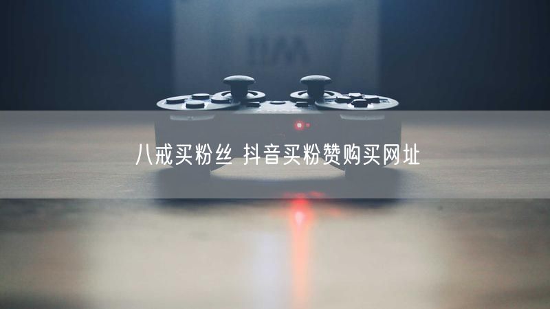 八戒买粉丝 抖音买粉赞购买网址