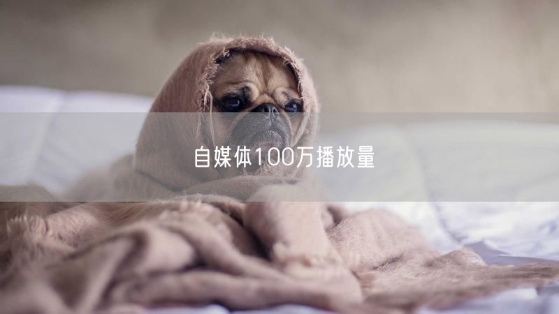 自媒体100万播放量