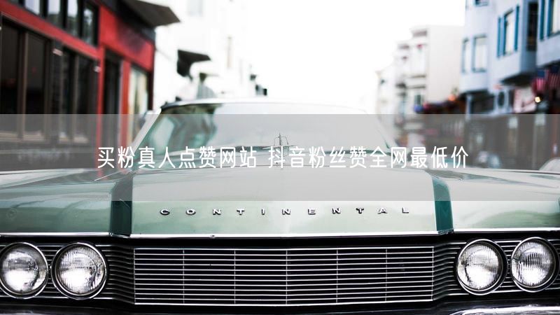 买粉真人点赞网站 抖音粉丝赞全网最低价