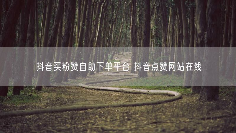 抖音买粉赞自助下单平台 抖音点赞网站在线