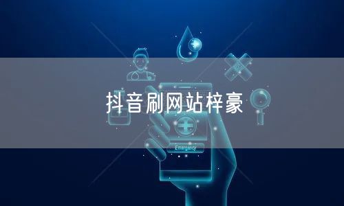 抖音刷网站梓豪