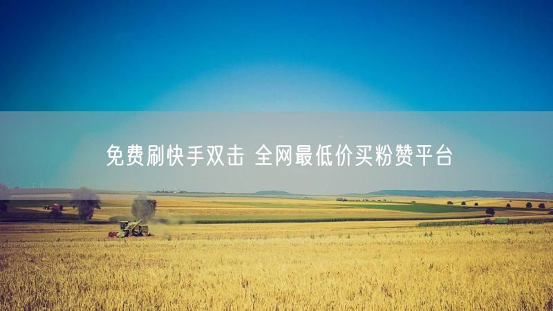 免费刷快手双击 全网最低价买粉赞平台