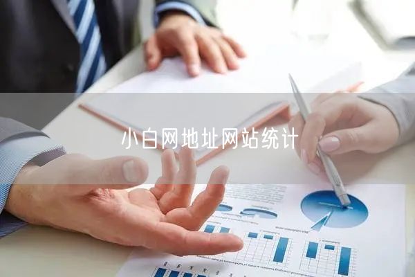 小白网地址网站统计