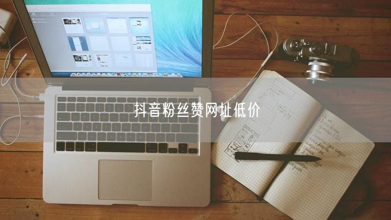 抖音粉丝赞网址低价