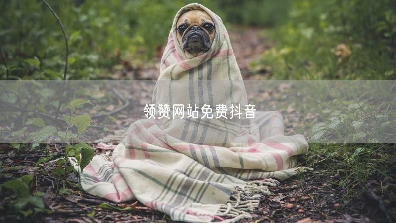 领赞网站免费抖音