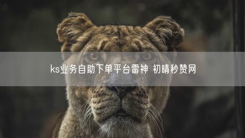 ks业务自助下单平台雷神 初晴秒赞网