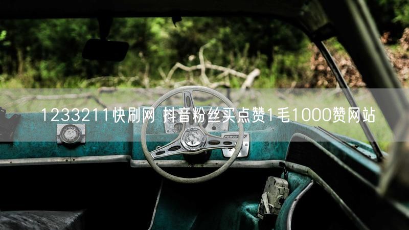 1233211快刷网 抖音粉丝买点赞1毛1000赞网站