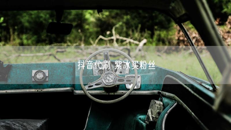 抖音代刷 紫冰买粉丝