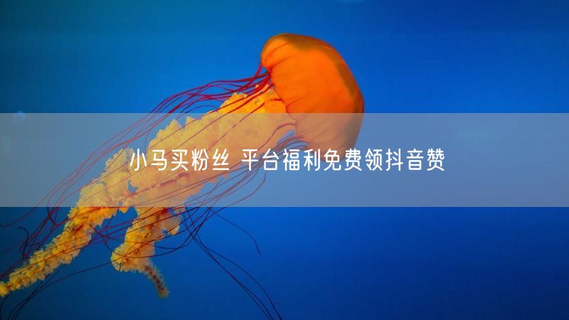 小马买粉丝 平台福利免费领抖音赞