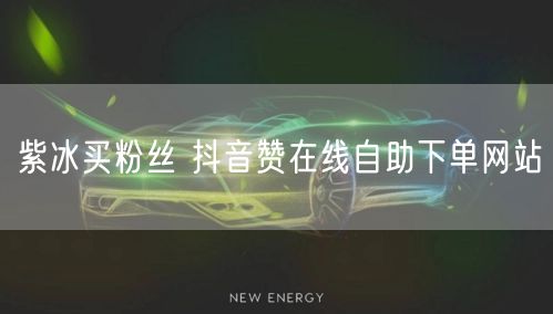 紫冰买粉丝 抖音赞在线自助下单网站