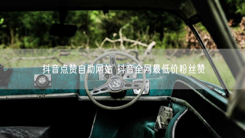 抖音点赞自助网站 抖音全网最低价粉丝赞