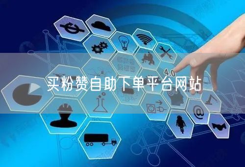 买粉赞自助下单平台网站