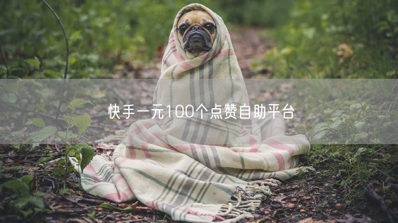 快手一元100个点赞自助平台