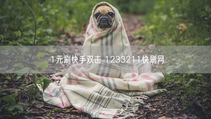 1元刷快手双击 1233211快刷网