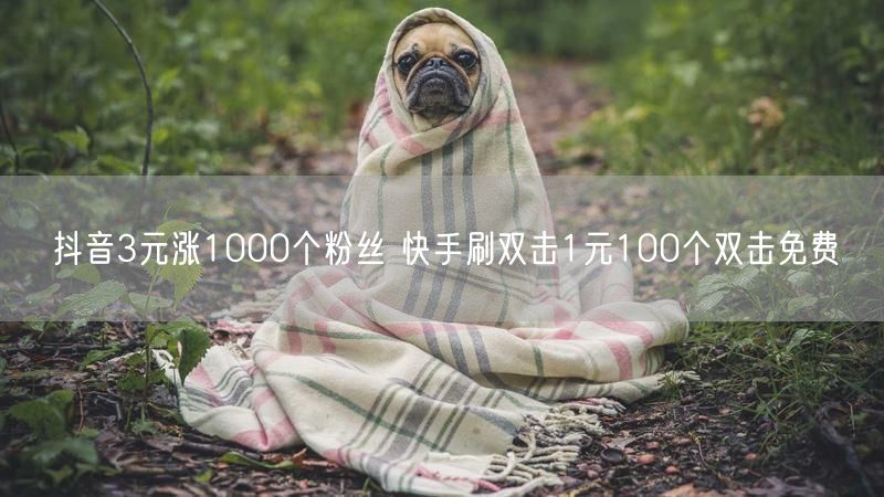 抖音3元涨1000个粉丝 快手刷双击1元100个双击免费