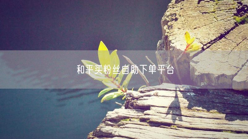 和平买粉丝自助下单平台
