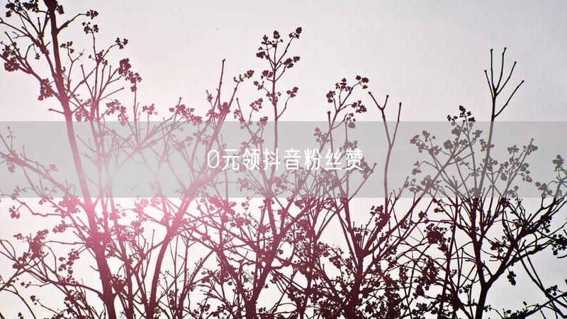 0元领抖音粉丝赞