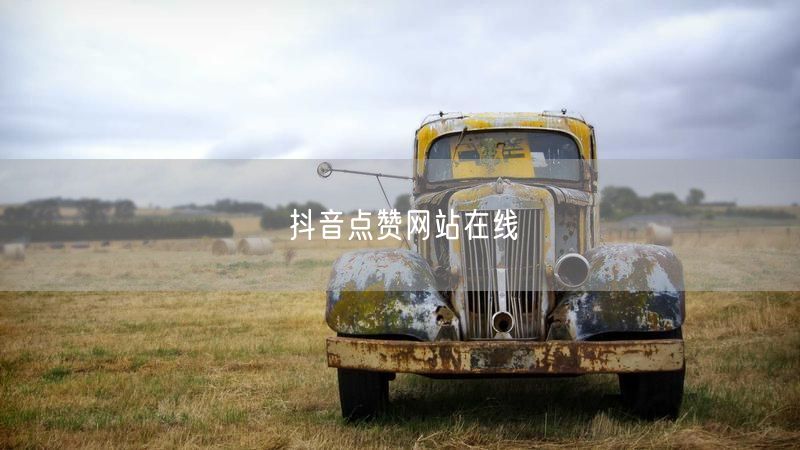 抖音点赞网站在线