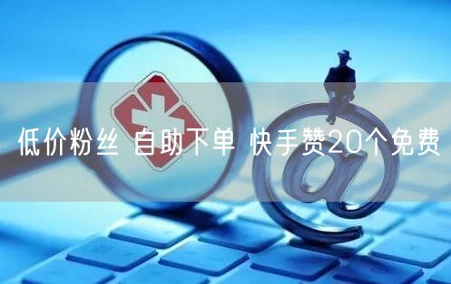 低价粉丝 自助下单 快手赞20个免费