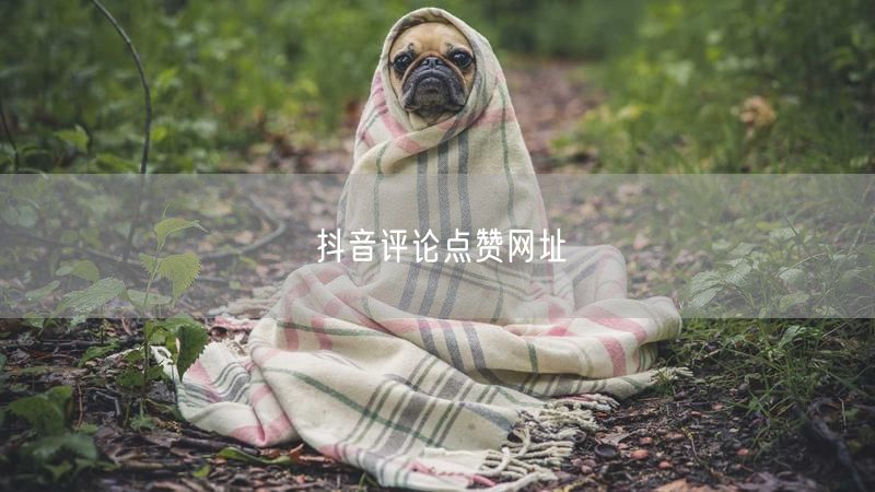 抖音评论点赞网址