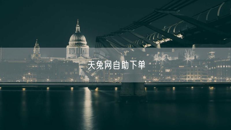 天兔网自助下单