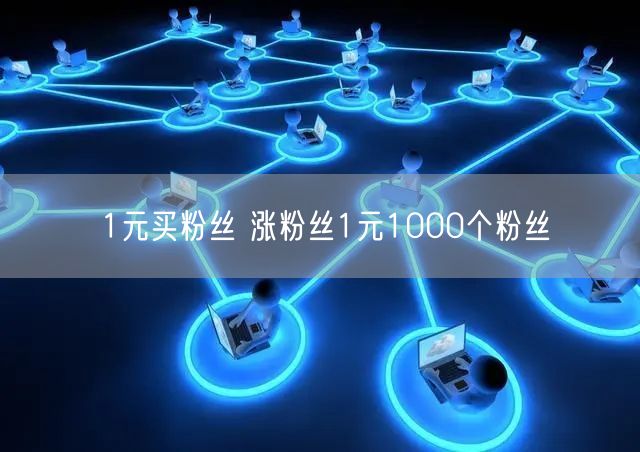 1元买粉丝 涨粉丝1元1000个粉丝