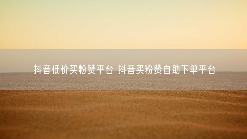 抖音低价买粉赞平台 抖音买粉赞自助下单平台