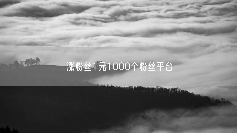 涨粉丝1元1000个粉丝平台