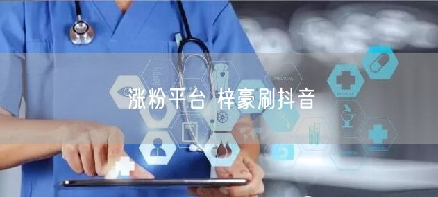涨粉平台 梓豪刷抖音