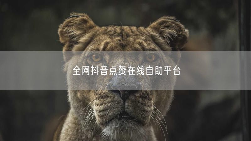 全网抖音点赞在线自助平台