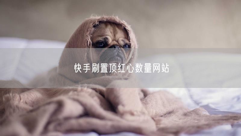 快手刷置顶红心数量网站