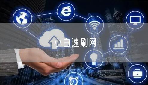 小白速刷网
