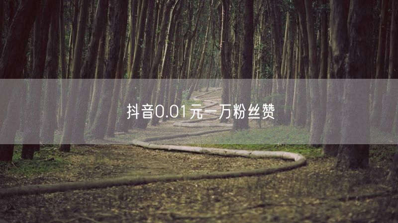 抖音0.01元一万粉丝赞