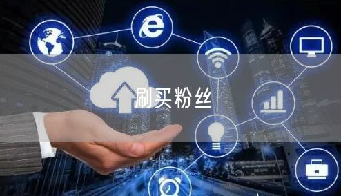 刷买粉丝