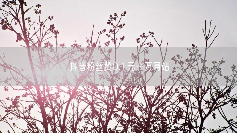 抖音粉丝赞0.1元一万网站