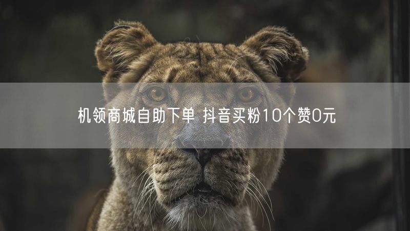 机领商城自助下单 抖音买粉10个赞0元