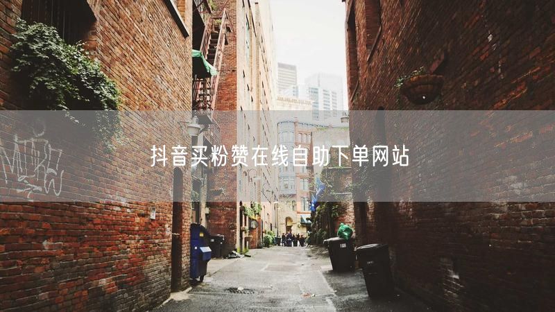 抖音买粉赞在线自助下单网站