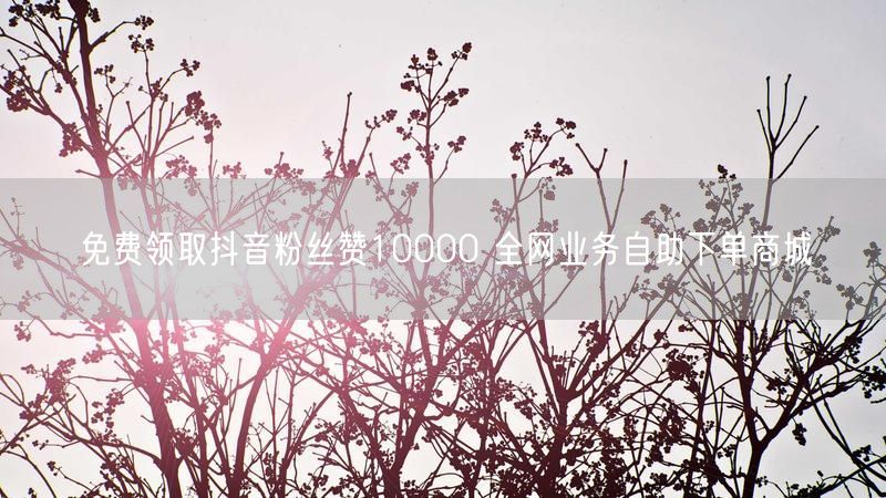 免费领取抖音粉丝赞10000 全网业务自助下单商城