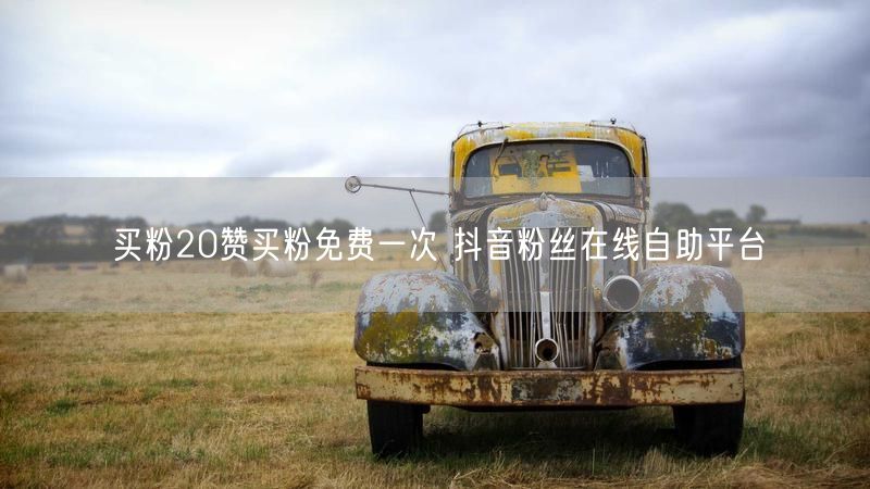 买粉20赞买粉免费一次 抖音粉丝在线自助平台