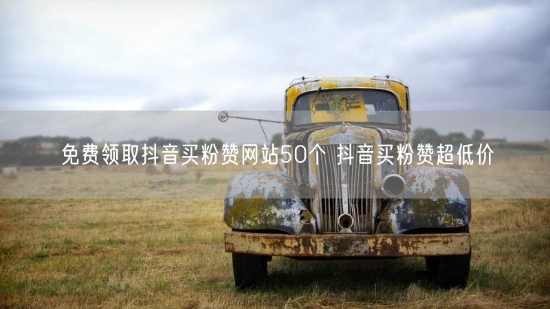 免费领取抖音买粉赞网站50个 抖音买粉赞超低价