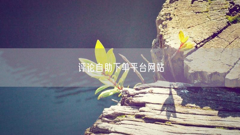 评论自助下单平台网站