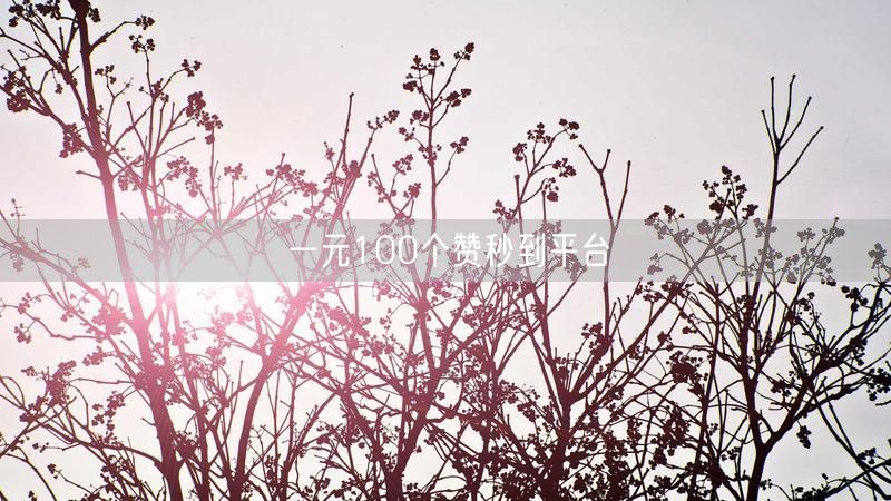 一元100个赞秒到平台