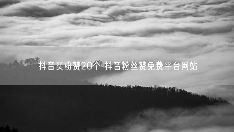 抖音买粉赞20个 抖音粉丝赞免费平台网站
